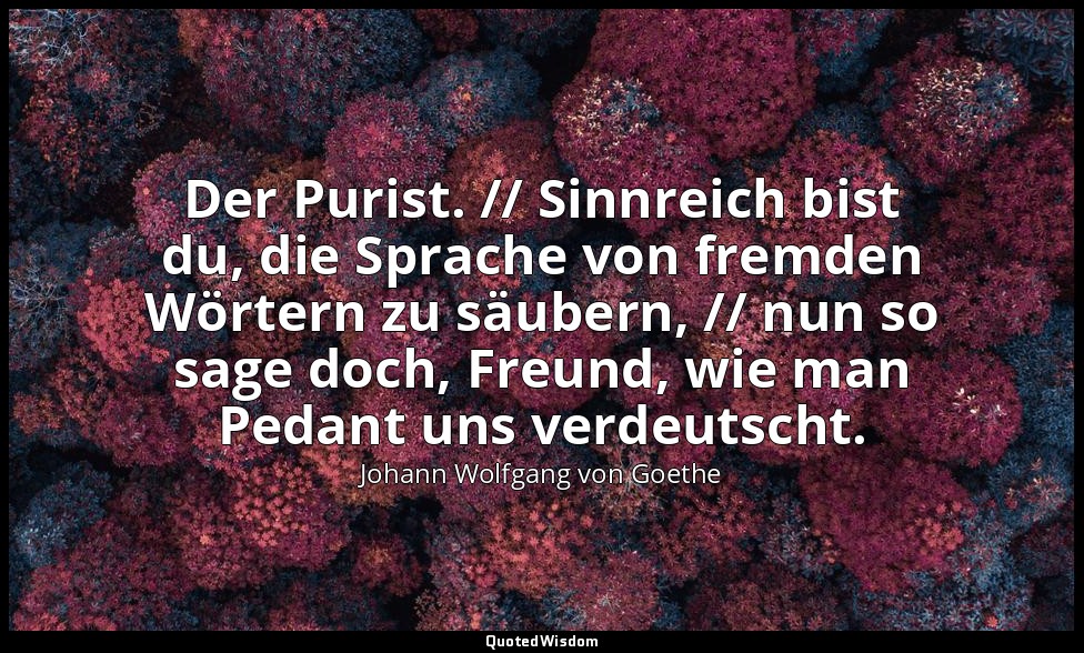 "Der Purist. // Sinnreich bist du, die Sprache von fremden Wörtern zu säubern, / — Johann Wolfgang von Goethe