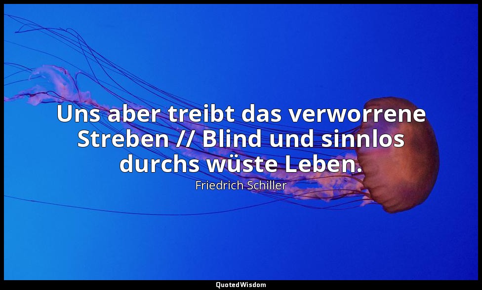 "Uns aber treibt das verworrene Streben // Blind und sinnlos durchs wüste Leben. — Friedrich Schiller