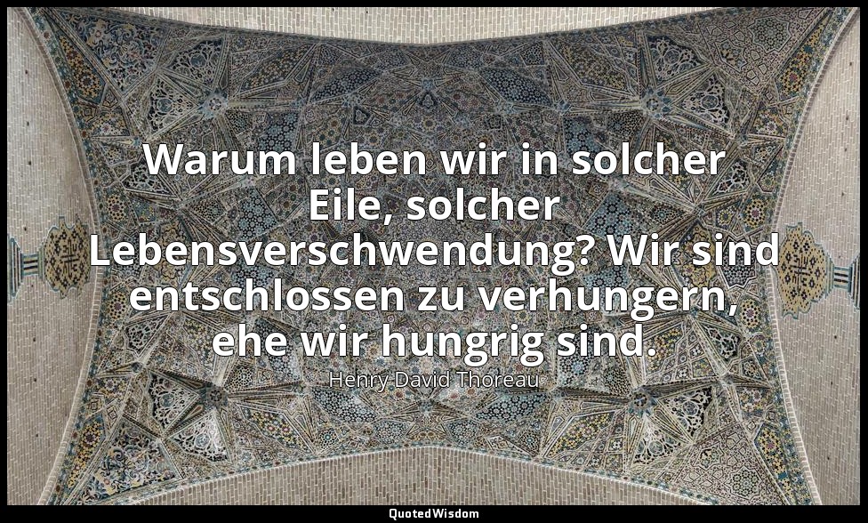 Warum leben wir in solcher Eile, solcher Lebensverschwendung? Wir sind entschlos — Henry David Thoreau