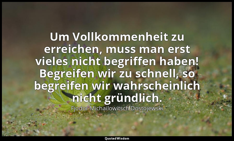 "Um Vollkommenheit zu erreichen, muss man erst vieles nicht begriffen haben! Beg — Fjodor Michailowitsch Dostojewski
