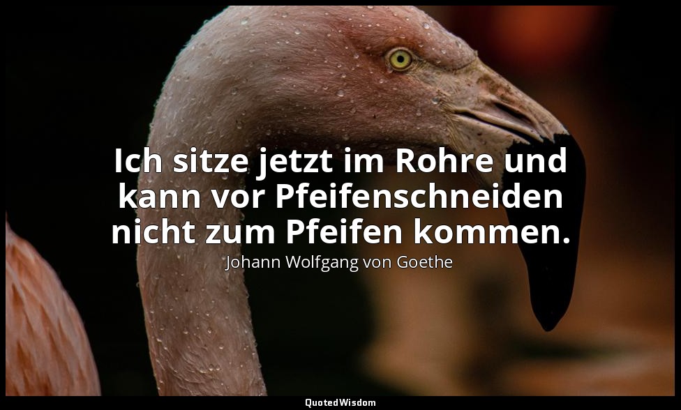 "Ich sitze jetzt im Rohre und kann vor Pfeifenschneiden nicht zum Pfeifen kommen — Johann Wolfgang von Goethe