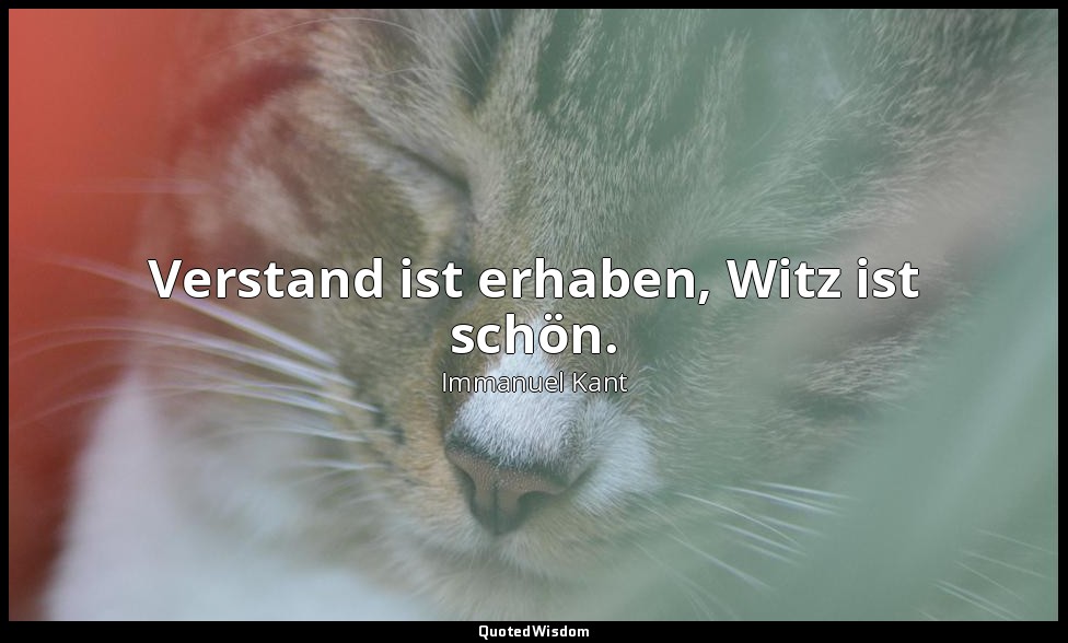 "Verstand ist erhaben, Witz ist schön." - Über das Gefühl des Schönen und Erhabe — Immanuel Kant