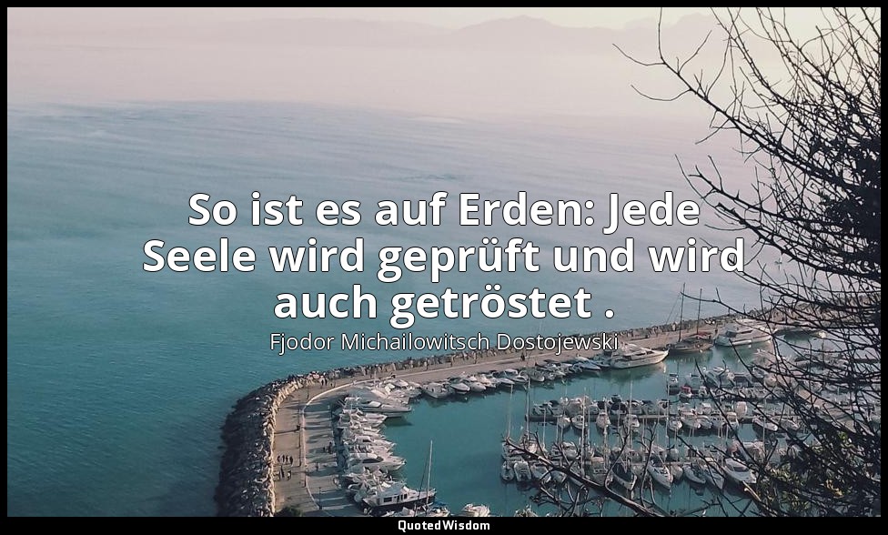 "So ist es auf Erden: Jede Seele wird geprüft und wird auch getröstet ." - Der J — Fjodor Michailowitsch Dostojewski