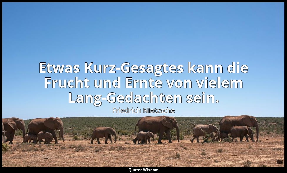 "Etwas Kurz-Gesagtes kann die Frucht und Ernte von vielem Lang-Gedachten sein."  — Friedrich Nietzsche