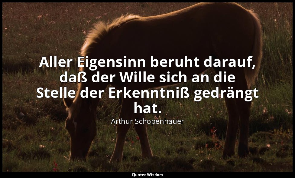 "Aller Eigensinn beruht darauf, daß der Wille sich an die Stelle der Erkenntniß  — Arthur Schopenhauer