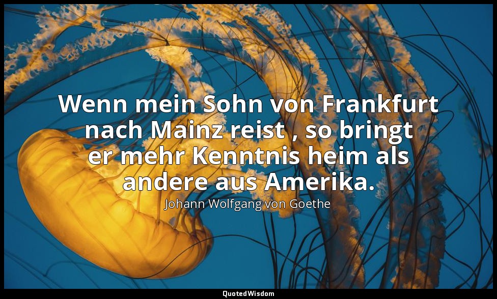 "Wenn mein Sohn von Frankfurt nach Mainz reist , so bringt er mehr Kenntnis heim — Johann Wolfgang von Goethe
