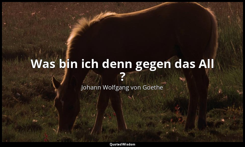 "Was bin ich denn gegen das All ?" – Wilhelm Meisters Wanderjahre — Johann Wolfgang von Goethe