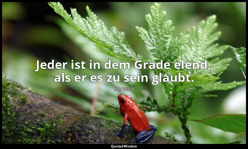 "Jeder ist in dem Grade elend, als er es zu sein glaubt." - Moralische Briefe an — Seneca