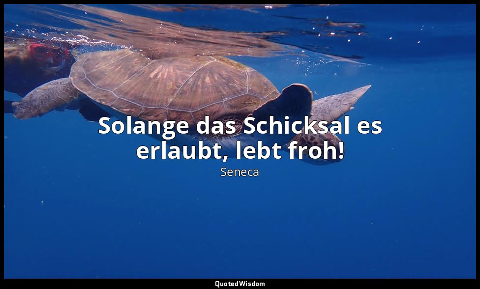 "Solange das Schicksal es erlaubt, lebt froh!" - Der rasende Herkules (Hercules  — Seneca
