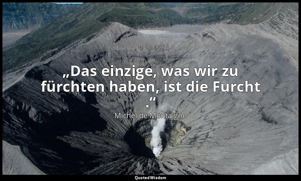 „Das einzige, was wir zu fürchten haben, ist die Furcht .“ — Michel de Montaigne