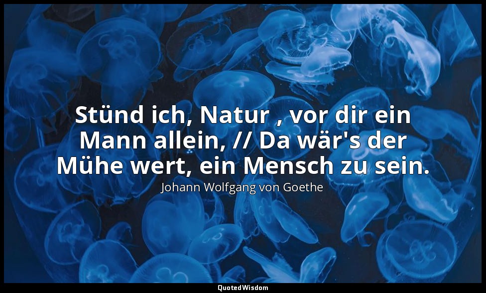 "Stünd ich, Natur , vor dir ein Mann allein, // Da wär's der Mühe wert, ein Mens — Johann Wolfgang von Goethe