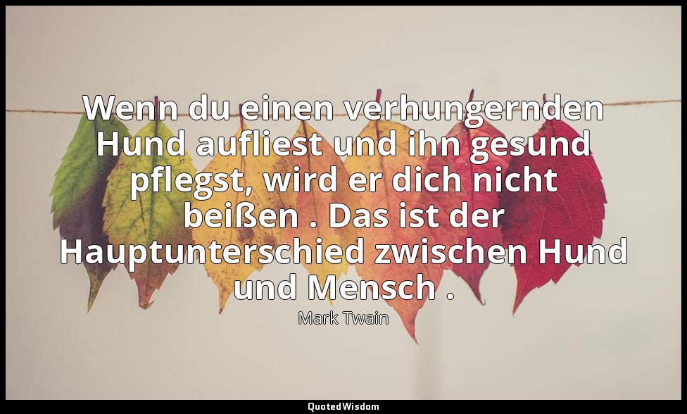 "Wenn du einen verhungernden Hund aufliest und ihn gesund pflegst, wird er dich  — Mark Twain