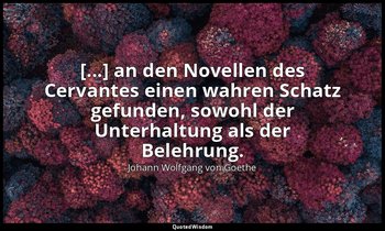 "[...] an den Novellen des Cervantes einen wahren Schatz gefunden, sowohl der Un — Johann Wolfgang von Goethe