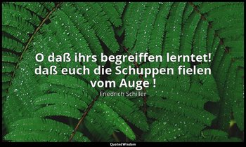 "O daß ihrs begreiffen lerntet! daß euch die Schuppen fielen vom Auge !" - Die R — Friedrich Schiller