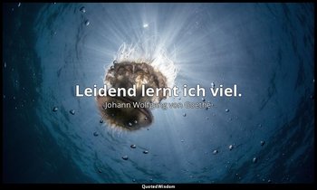 " Leidend lernt ich viel." – Stella, 4. Akt / Cäcilie — Johann Wolfgang von Goethe