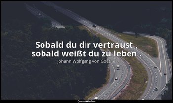 "Sobald du dir vertraust , sobald weißt du zu leben ." – Faust I, Vers 2062 / Me — Johann Wolfgang von Goethe