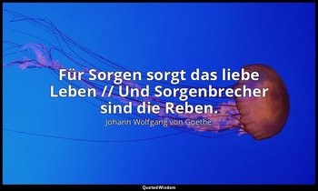 "Für Sorgen sorgt das liebe Leben // Und Sorgenbrecher sind die Reben." – Westös — Johann Wolfgang von Goethe