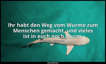 " Ihr habt den Weg vom Wurme zum Menschen gemacht, und vieles ist in euch noch W — Friedrich Nietzsche