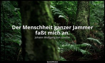 "Der Menschheit ganzer Jammer faßt mich an." – Faust I, Vers 4406 / Faust — Johann Wolfgang von Goethe