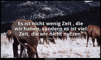 "Es ist nicht wenig Zeit , die wir haben, sondern es ist viel Zeit, die wir nich — Seneca