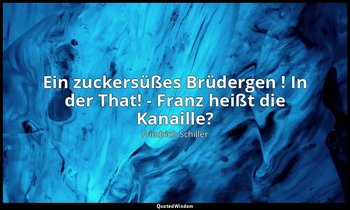 "Ein zuckersüßes Brüdergen ! In der That! - Franz heißt die Kanaille?" - Die Räu — Friedrich Schiller