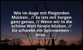 "Wie im Auge mit fliegenden Mücken , // So ists mit Sorgen ganz genau, // Wenn w — Johann Wolfgang von Goethe