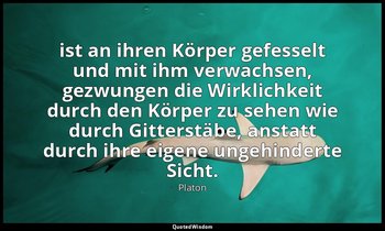 " ist an ihren Körper gefesselt und mit ihm verwachsen, gezwungen die Wirklichke — Platon