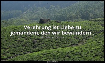 " Verehrung ist Liebe zu jemandem, den wir bewundern ." — Baruch de Spinoza