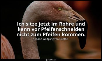 "Ich sitze jetzt im Rohre und kann vor Pfeifenschneiden nicht zum Pfeifen kommen — Johann Wolfgang von Goethe