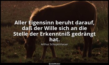 "Aller Eigensinn beruht darauf, daß der Wille sich an die Stelle der Erkenntniß  — Arthur Schopenhauer