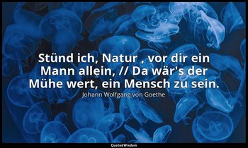 "Stünd ich, Natur , vor dir ein Mann allein, // Da wär's der Mühe wert, ein Mens — Johann Wolfgang von Goethe