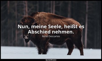 "Nun, meine Seele, heißt es Abschied nehmen." - Letzte Worte , 11. Februar 1650 — René Descartes