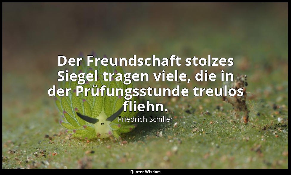 "Der Freundschaft stolzes Siegel tragen viele, die in der Prüfungsstunde treulos — Friedrich Schiller