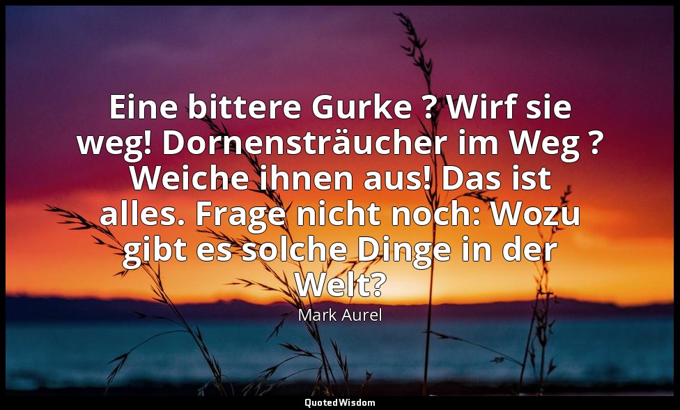 "Eine bittere Gurke ? Wirf sie weg! Dornensträucher im Weg ? Weiche ihnen aus! D — Mark Aurel