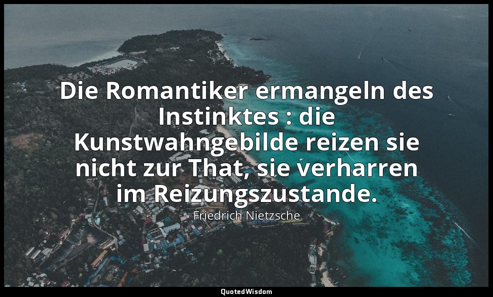 "Die Romantiker ermangeln des Instinktes : die Kunstwahngebilde reizen sie nicht — Friedrich Nietzsche