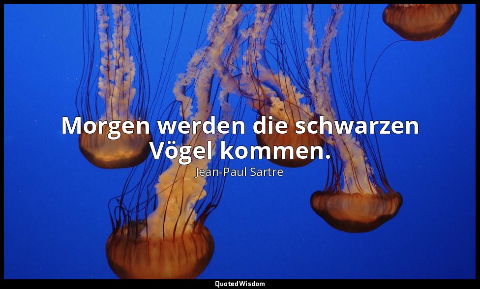 Morgen werden die schwarzen Vögel kommen. — Jean-Paul Sartre