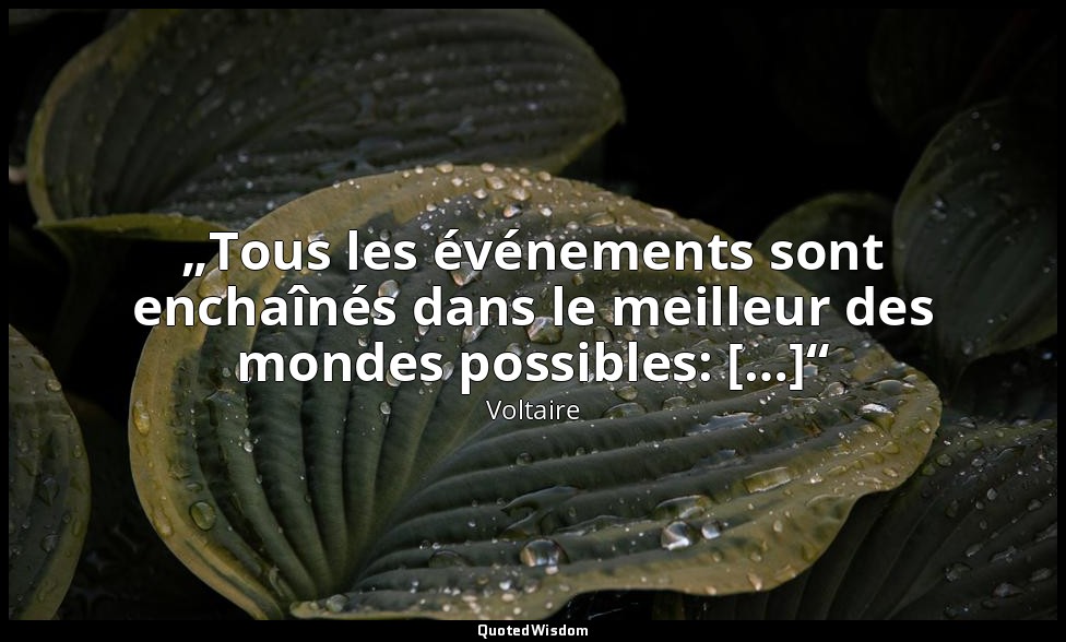 „Tous les événements sont enchaînés dans le meilleur des mondes possibles: […]“ — Voltaire