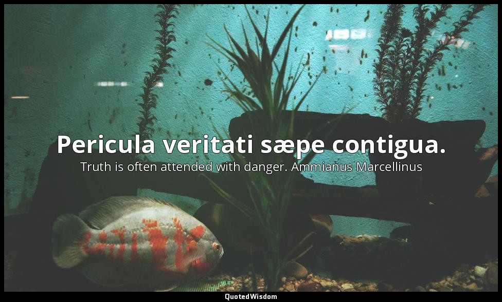 Pericula veritati sæpe contigua. — Truth is often attended with danger. Ammianus Marcellinus