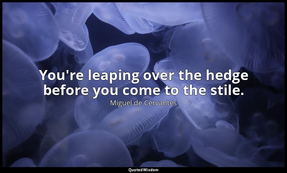 You're leaping over the hedge before you come to the stile. — Miguel de Cervantes