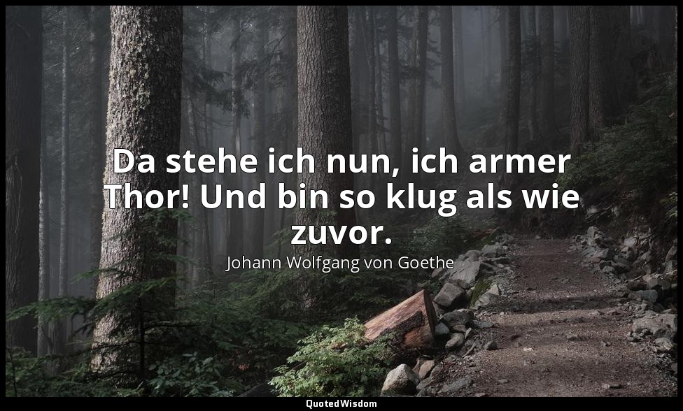 Da stehe ich nun, ich armer Thor! Und bin so klug als wie zuvor. — Johann Wolfgang von Goethe