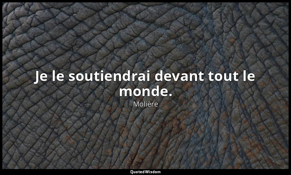 Je le soutiendrai devant tout le monde. — Molière