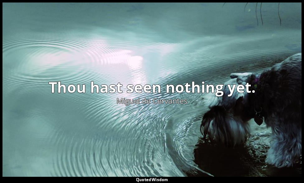 Thou hast seen nothing yet. — Miguel de Cervantes