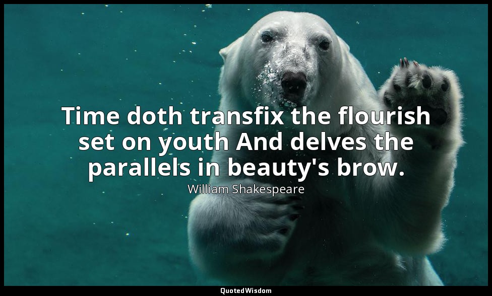 Time doth transfix the flourish set on youth And delves the parallels in beauty' — William Shakespeare