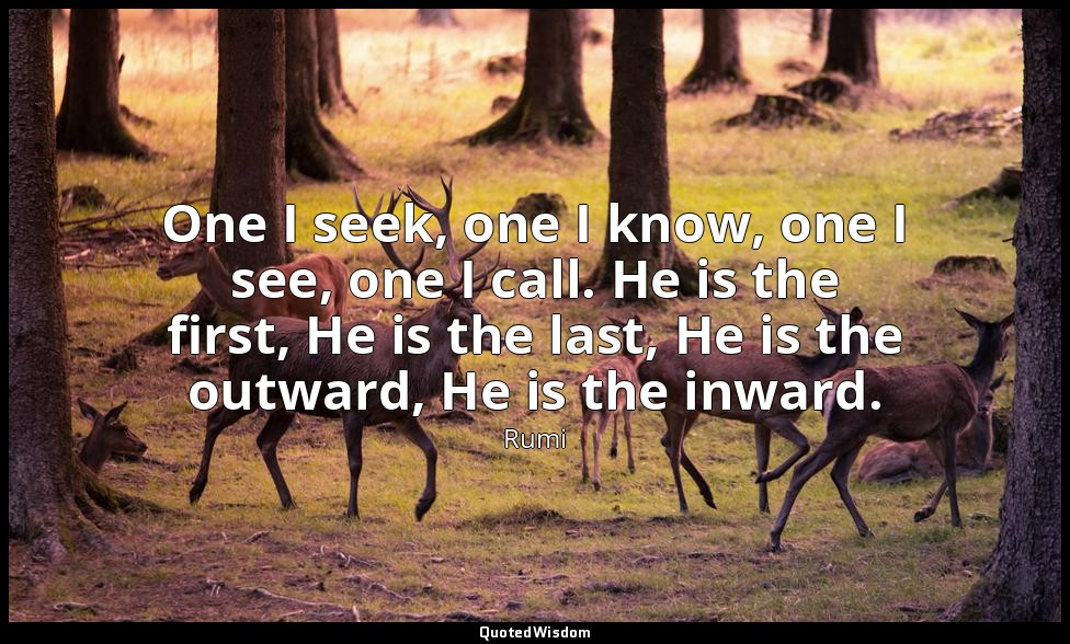 One I seek, one I know, one I see, one I call. He is the first, He is the last,  — Rumi