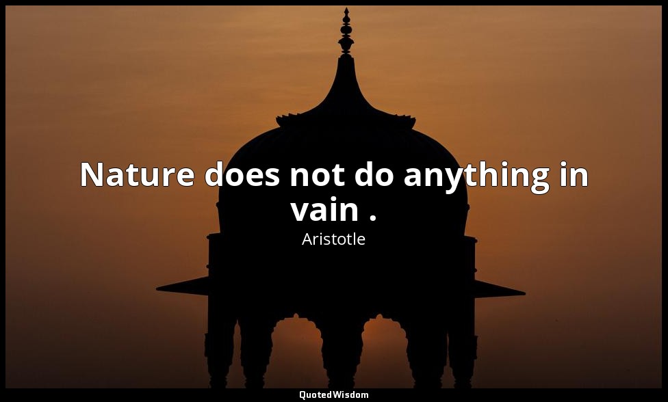 Nature does not do anything in vain . — Aristotle
