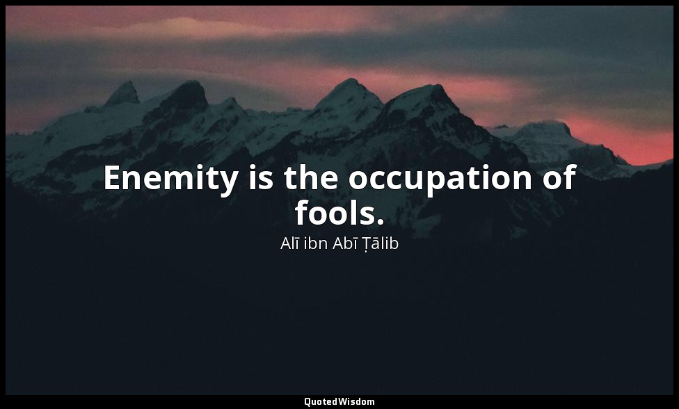 Enemity is the occupation of fools. — Alī ibn Abī Ṭālib