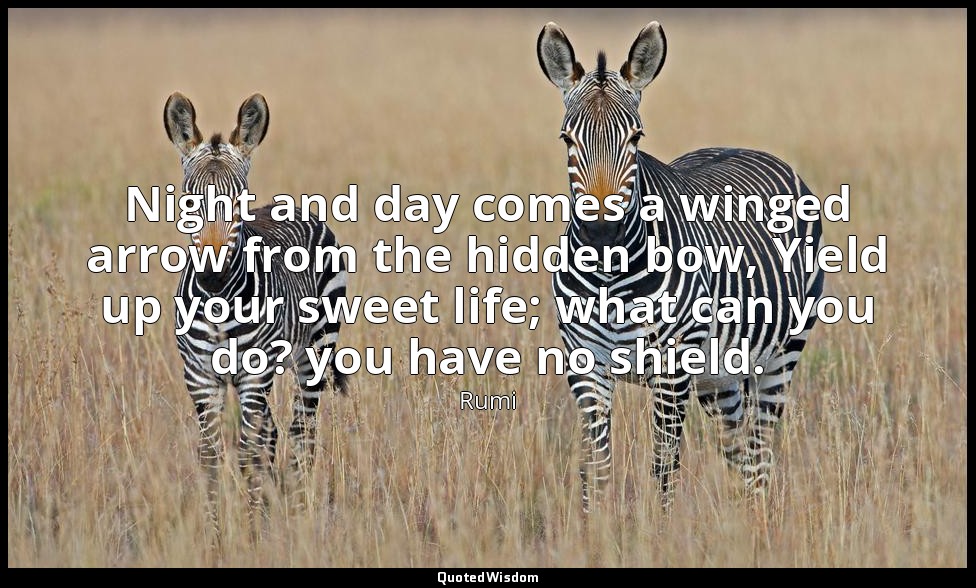 Night and day comes a winged arrow from the hidden bow, Yield up your sweet life — Rumi
