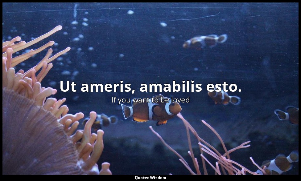Ut ameris, amabilis esto. — If you want to be loved
