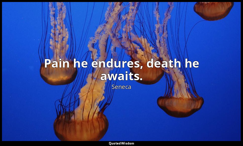 Pain he endures, death he awaits. — Seneca