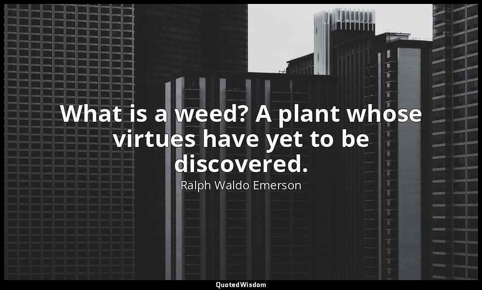 What is a weed? A plant whose virtues have yet to be discovered. — Ralph Waldo Emerson
